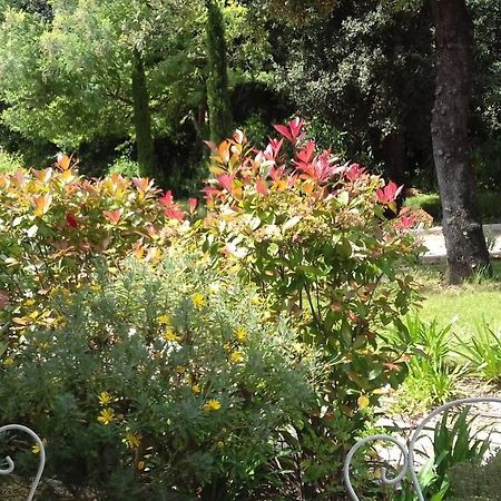 La Louvetiere Otel Roquefort Les Pins Dış mekan fotoğraf